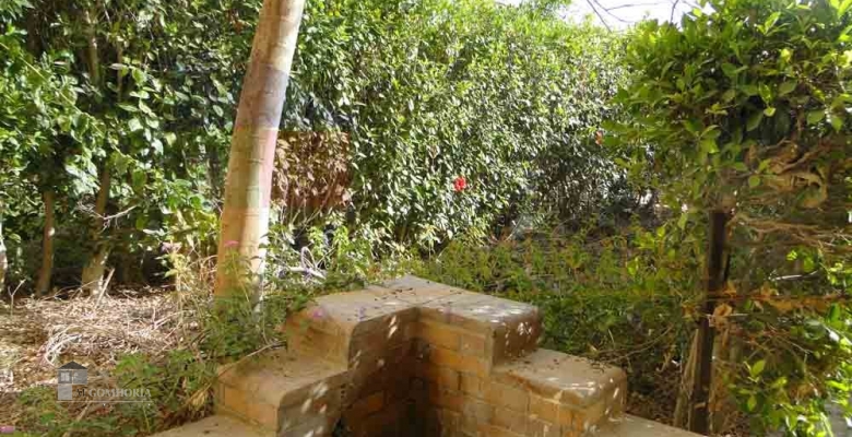 Studio 69.00 for sale M2 in North Coast, Marina