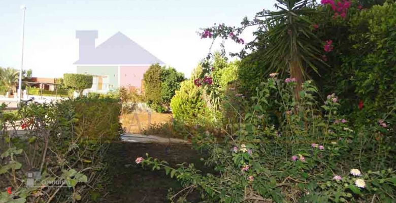 Studio 69.00 for sale M2 in North Coast, Marina