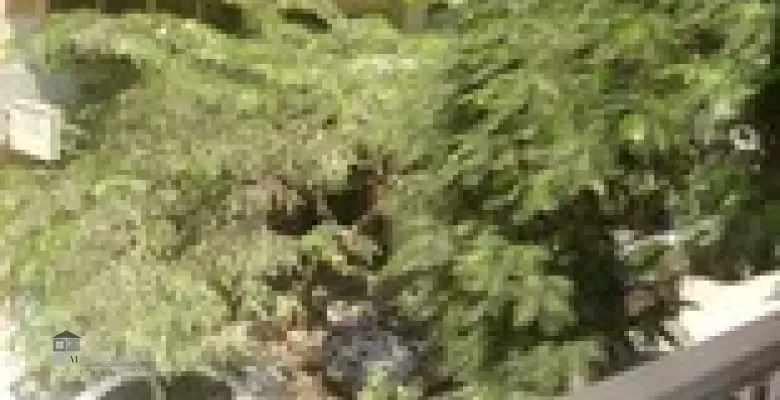 Unfurnished Apartment for rent 350.00 M2 in Giza, Mohandeseen