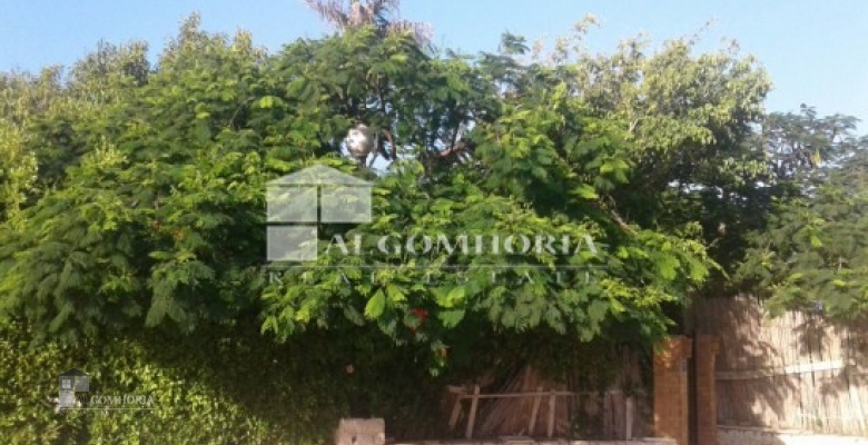 Villa 0.00 for sale M2 in North Coast, Marina