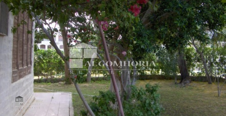 Villa 186.00 for sale M2 in North Coast, Marina