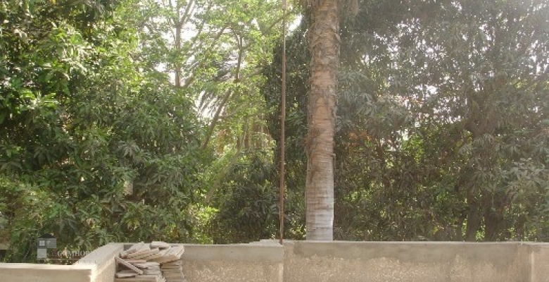 Furnished Villa for rent 450.00 M2 in Cairo, Maadi
