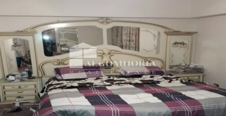 Furnished Apartment for rent 240.00 M2 in Giza, Mohandeseen