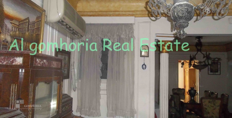 Furnished Apartment for rent 0.00 M2 in Giza, Agouza