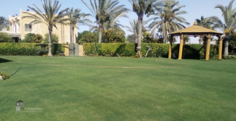 فيلا للايجار الساحل الشمالي