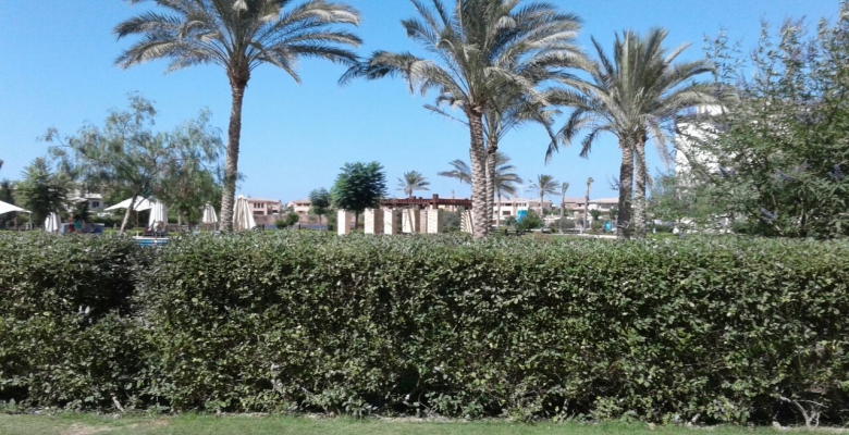 شالية فى مراسي (سيدى عبدالرحمن ) - الساحل الشمالي / A Chalet in Marassi (Sidi Abdel Rahman) - North Coast