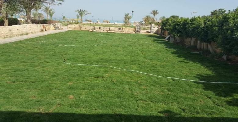 العين السخنة _ بقرية اميجو 2