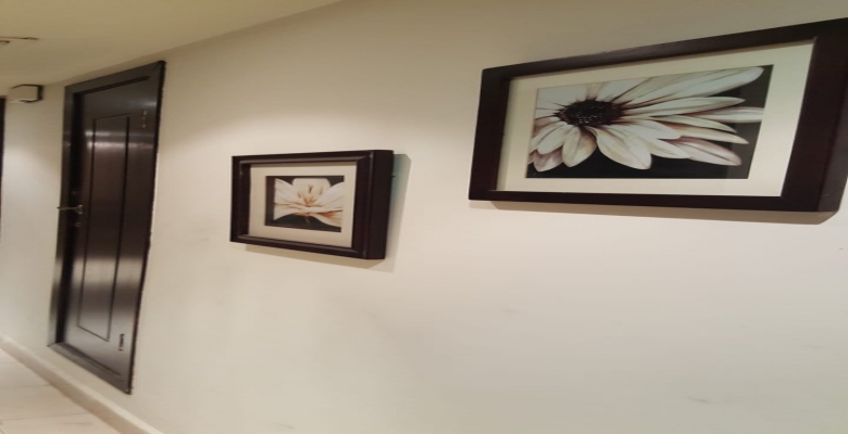 العين السخنة_بورتو البانوراما