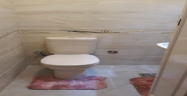 شقة مفروشه للايجار - الزمالك / Furnished apartment for rent - Zamalek