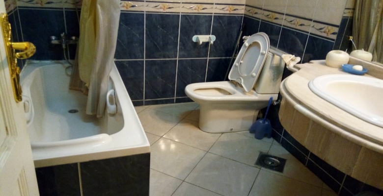 شقة مفروشة للإيجار أو البيع - الزمالك