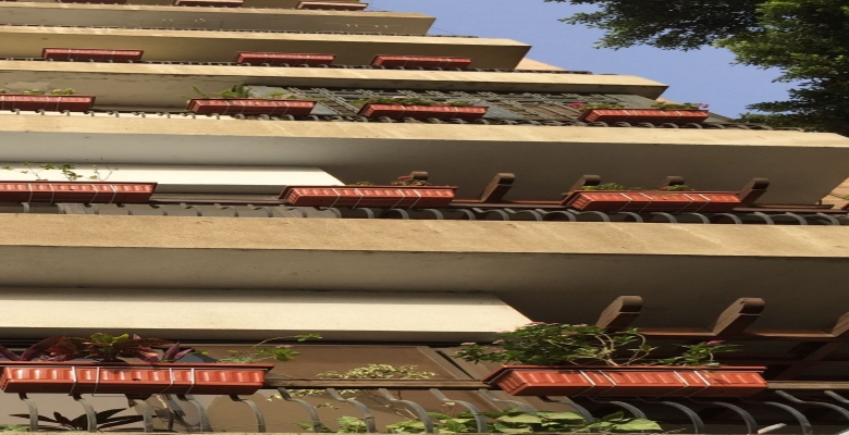 شقه اداري للايجار - الزمالك