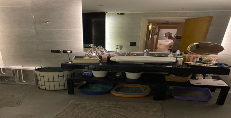 شقة مفروشة للإيجار أو البيع - بالزمالك