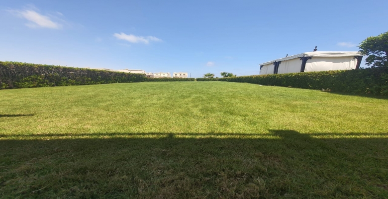 امواج – الساحل الشمالي