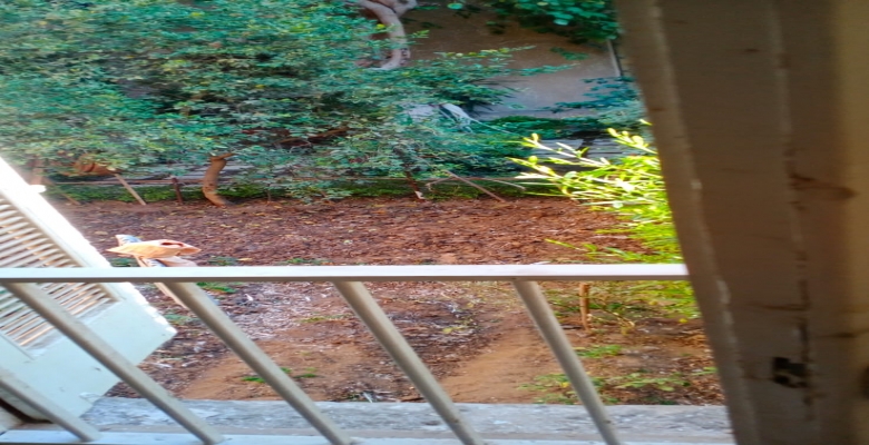 شقه للبيع او الايجار بالسادس من اكتوبر