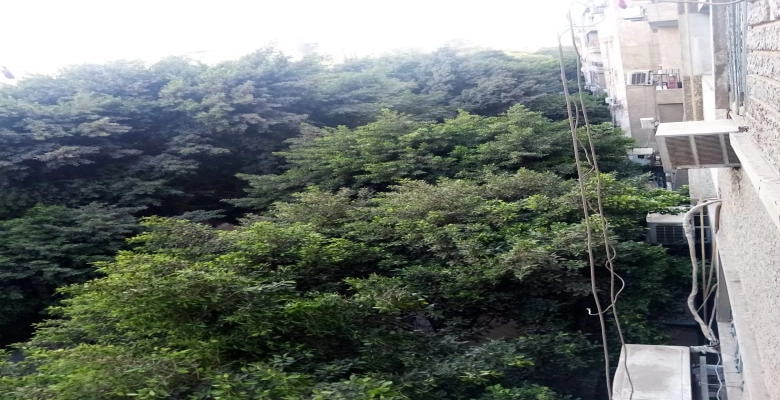 (بهجت على )شقة للايجار فى الزمالك