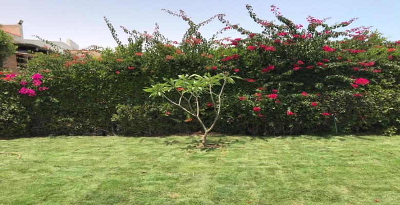 فيلا للبيع  بالساحل الشمالي مارينا