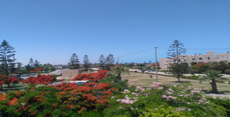 شالية ايجار - مارينا - بوابة 5 -