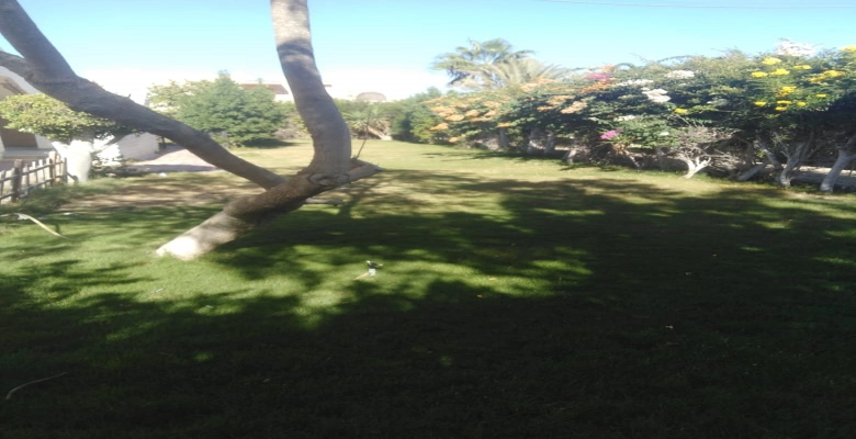 شاليه للايجار في الساحل الشمالي مارينا ٦ - Chalet for rent in North Coast Marina 6