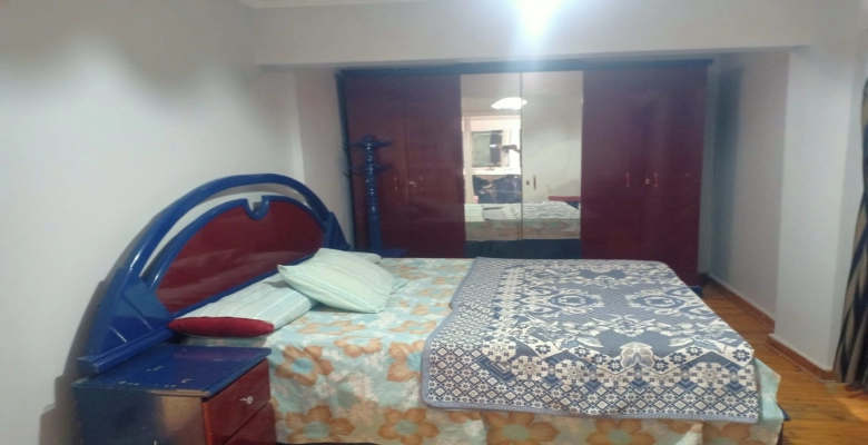 شقة مفروشة  للايجار فى الزمالك شارع ابو الفدا 120 متر | Furnished apartment for rent in Zamalek, Abu Feda Street,