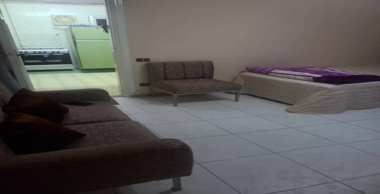 شقة ايجار في المهندسين