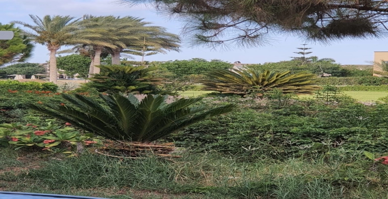 شاليه للايجار بقرية لاجونا - الساحل الشمالي / A chalet in Laguna Village - North Coast for rent