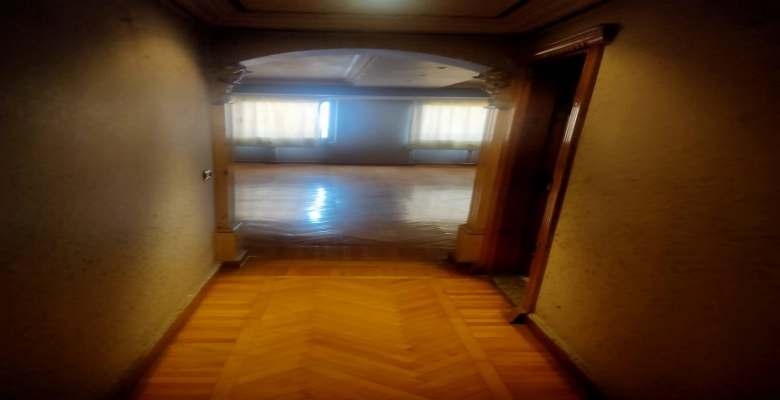 دوبلكس للايجار بشارع أمين الرافعي - الدقي / Duplex for rent on Amin El-Rafei Street in Dokki