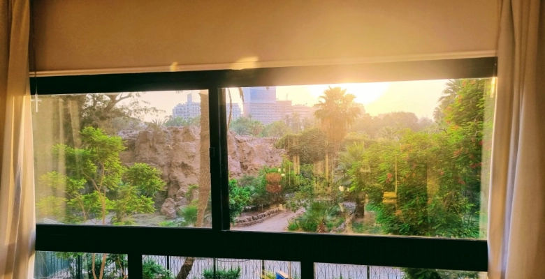 شقه للايجار في الزمالك