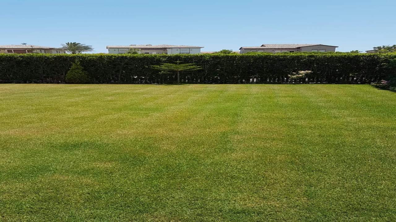 شاليه دوبلكس للايجار في مراسي بلانكا 4غرف