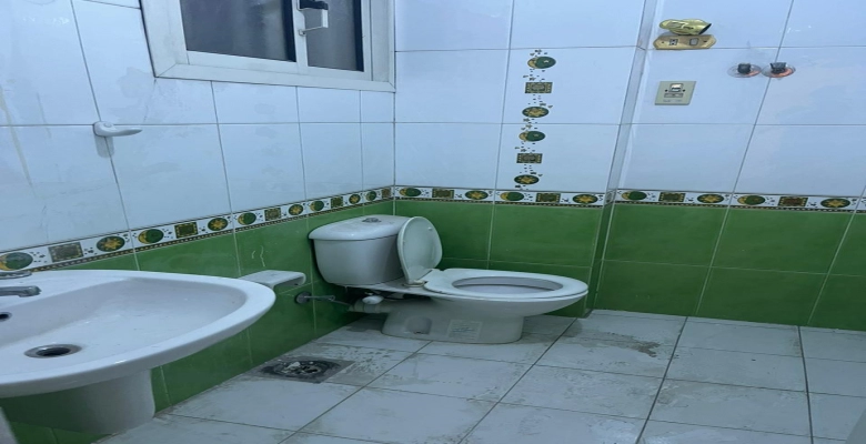 شقة للايجار في المهندسين      Apartment for rent in Mohandiseen