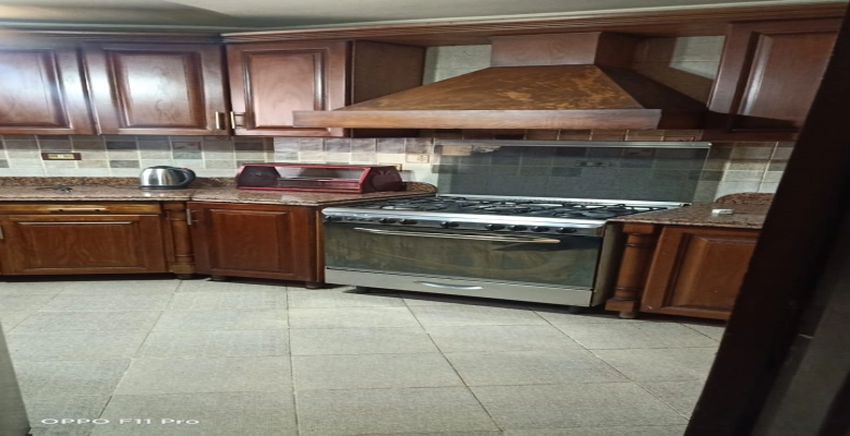 شقة للايجار في الدقي Apartment for rent in Dokki