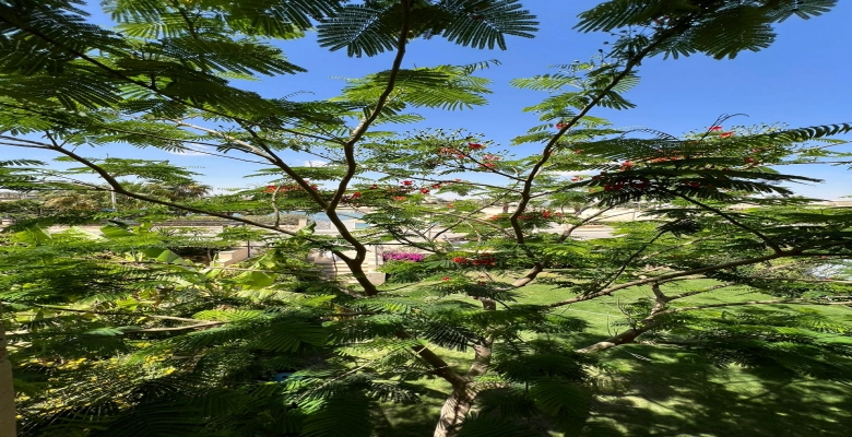 فيلا للايجار بالساحل الشمالي مارينا 5 - Villa for rent in North Coast Marina 5