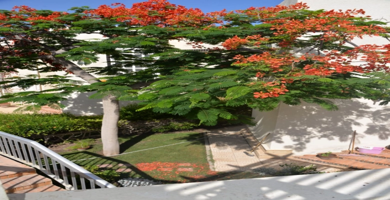 فيلا للايجار في قرية فرجينيا بالساحل الشمالي