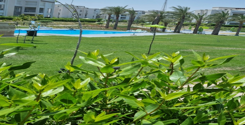 شاليه ايجار في الساحل الشمالي امواج - Chalet for rent in North Coast Amwaj