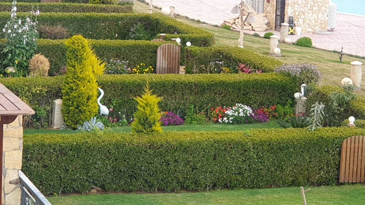 شالية للإيجار في قرية بلومار العين السخنة 2 غرف