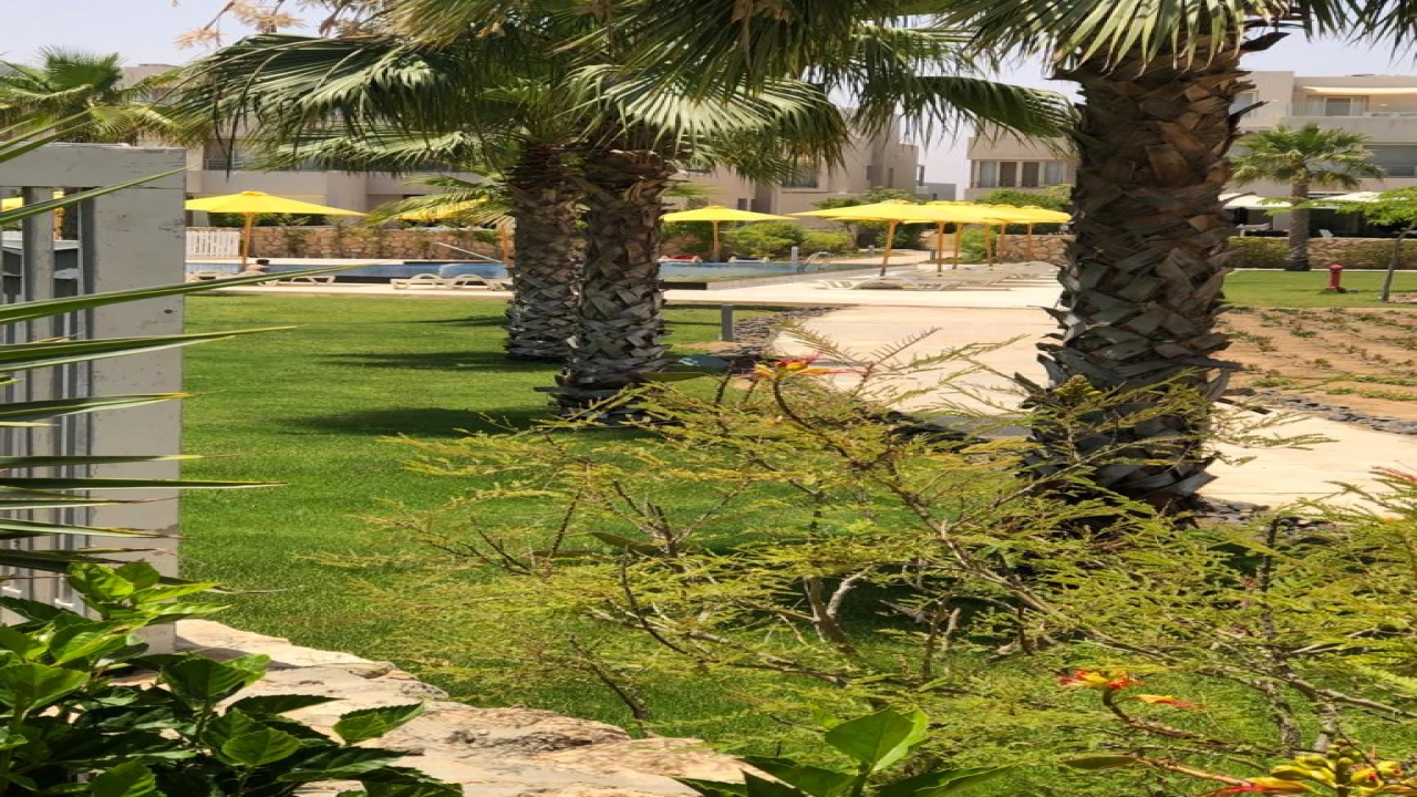 جونيور شاليه للبيع للايجار في هاسيندا باي ارضى 2 غرفه