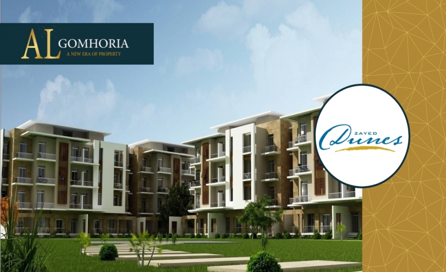 زايد ديونز الشيخ زايد