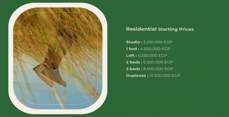 مشروع جاذبية مدينة 6 اكتوبر