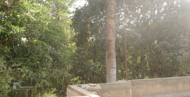 Furnished Villa for rent 450.00 M2 in Cairo, Maadi