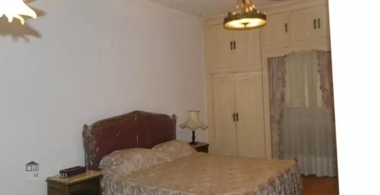 Furnished Apartment for rent 0.00 M2 in Cairo, Zamalek