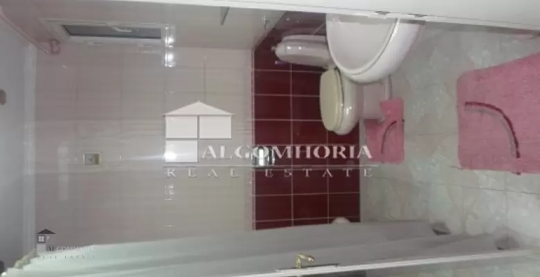 Furnished Apartment for rent 230.00 M2 in Cairo, Zamalek