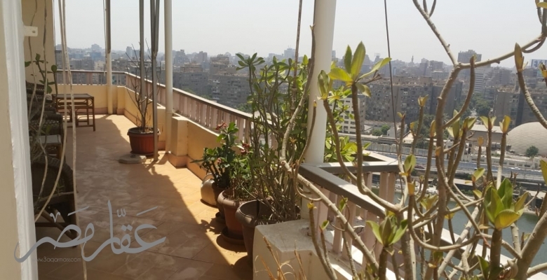 شقة للبيع - الزمالك