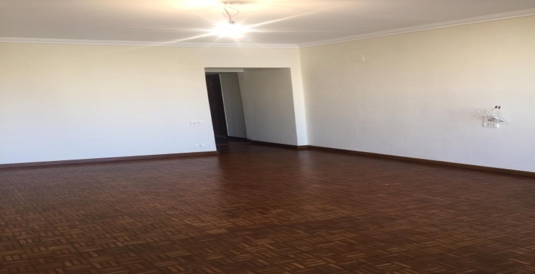 شقه للايجار فى المهندسين