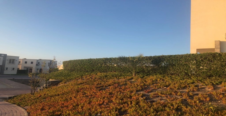 شاليه للبيع 2غرفه في امواج - بالساحل الشمالى