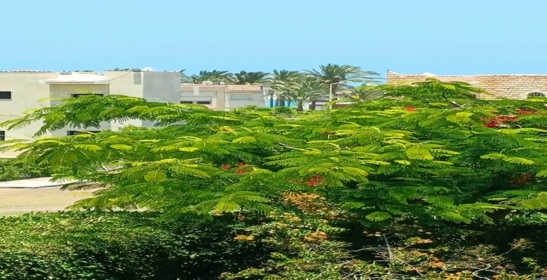شاليه للايجار فى مارينا الساحل الشمالى / Chalet for rent in Marina North Coast