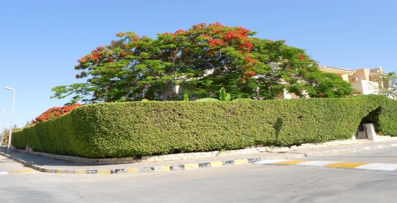 1 فيلا للايجار بالساحل الشمالى مارينا  - Villa for rent in the North Coast Marina 1