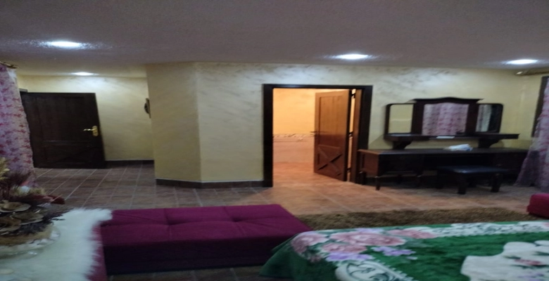 شقة فاخرة  للايجار فى الدقى