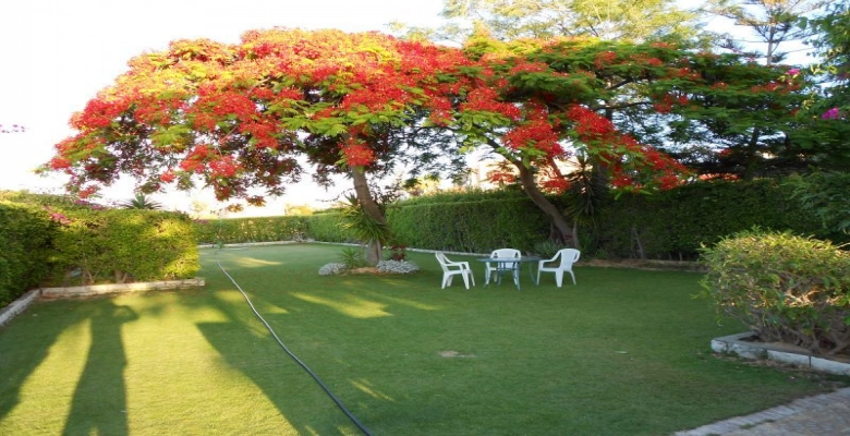 فيلا للايجار بالساحل الشمالي مارينا - Villa for rent in the North Coast  Marina
