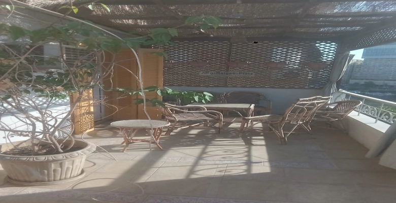 شقة مفروشة للايجار في الزمالك شارع صلاح الدين