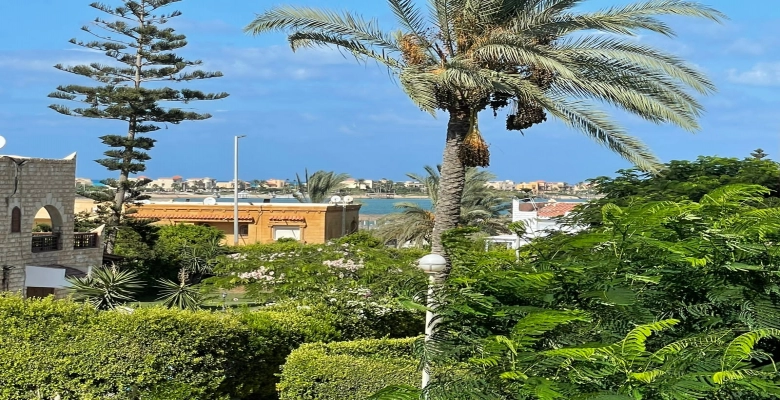 شالية للايجار فى مارينا 4  algomhoria