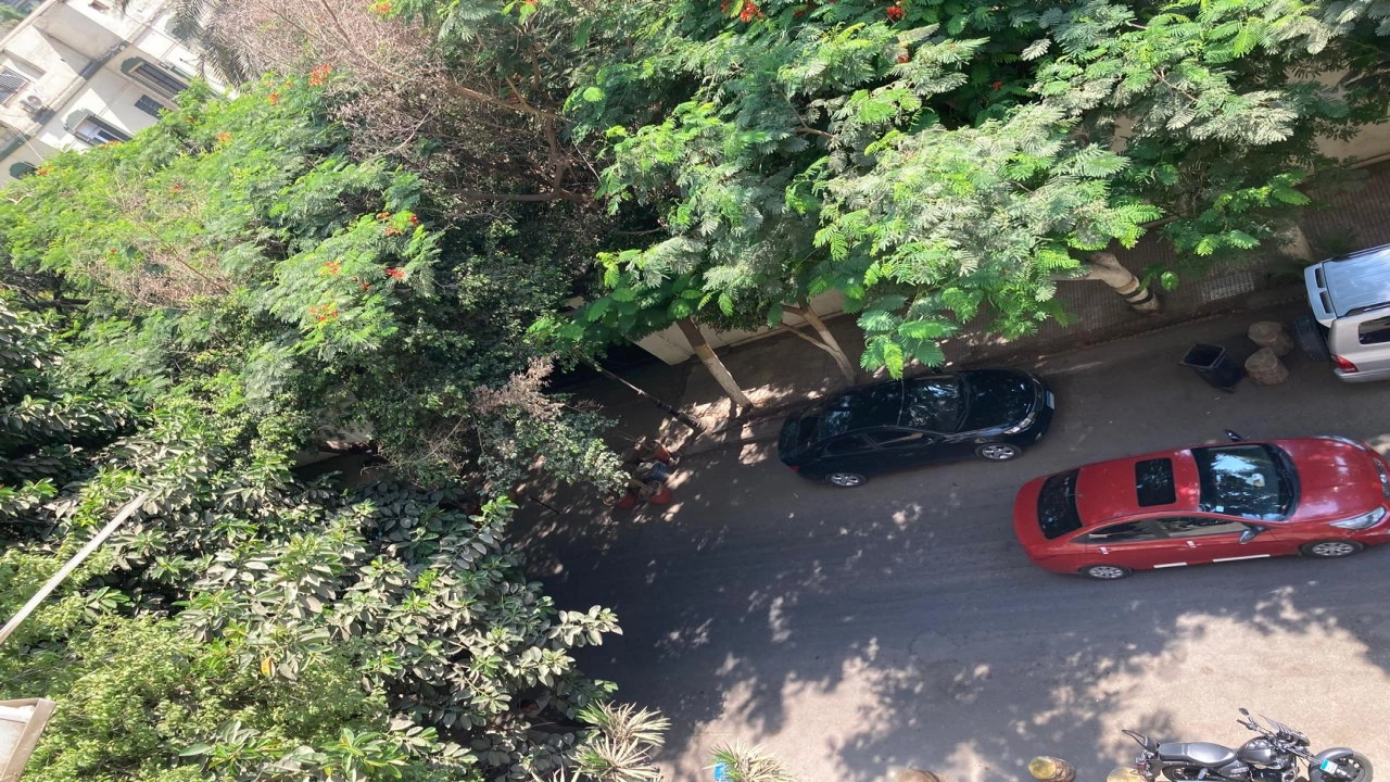 شقة مفروشة بالكامل للايجار بالزمالك شارع طه حسين